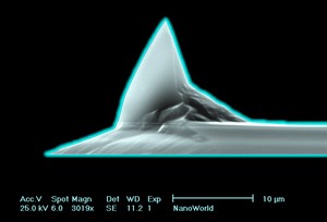 NANOSENSORS™ Special Developments List (SDL) PointProbe® Plus AFM probe PPP with Silicon Nitride coating